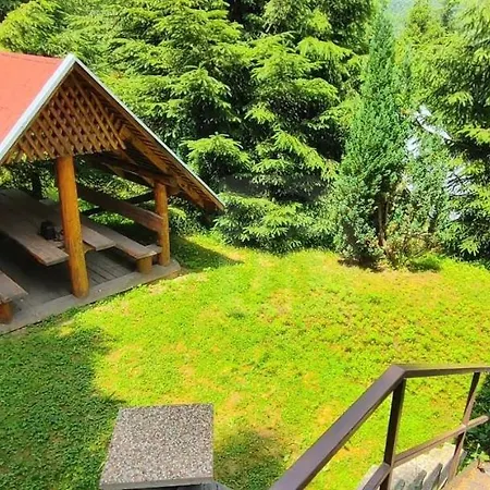 M&m Kokava Linia * Soltyska